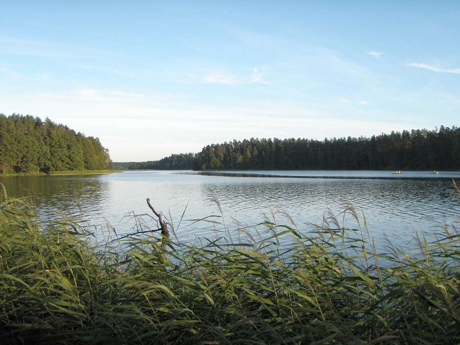 Lake Rospuda in the Augustow Primeval Forest