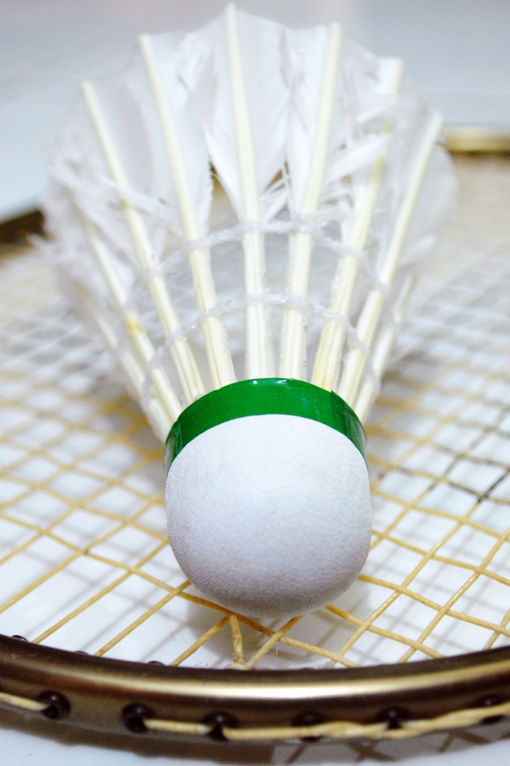 A feather shuttlecock resting on the strings of a badminton racket