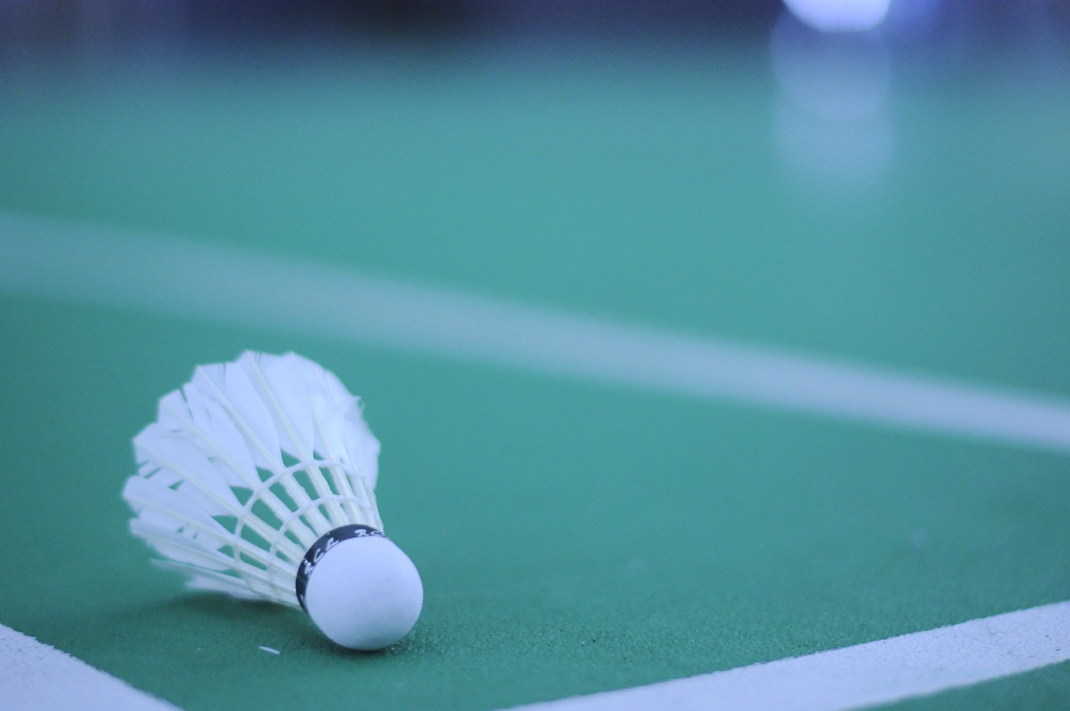 Feather shuttlecock resting on a badminton court, photographed in September 2019