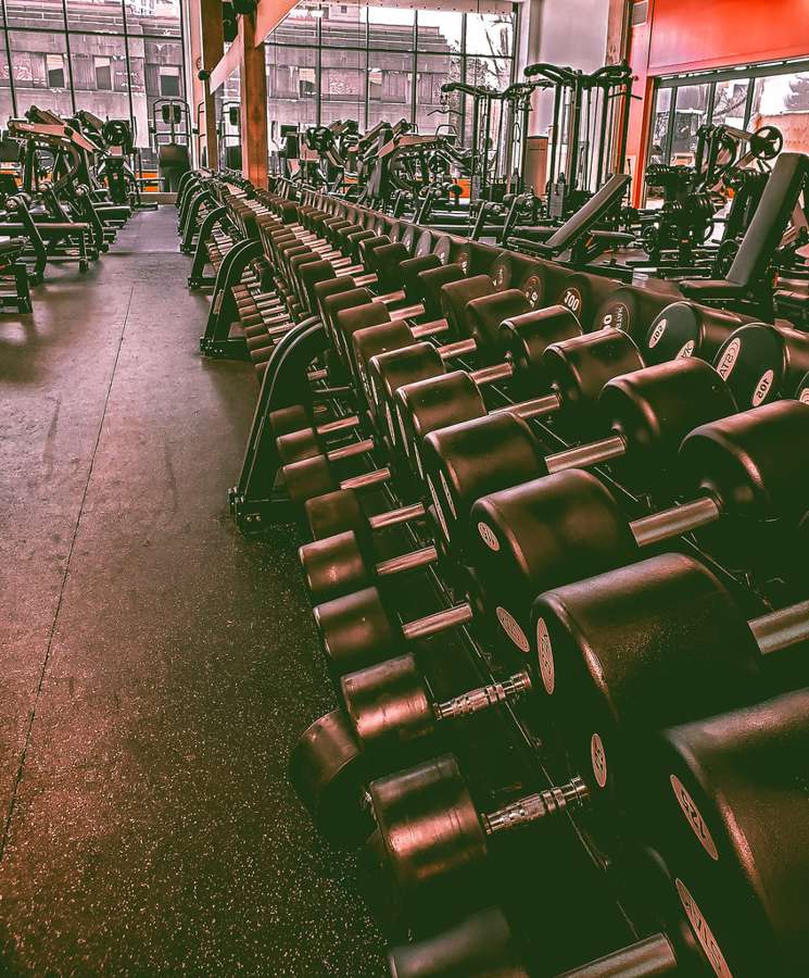 Dumbbell rack and machines inside a modern gym