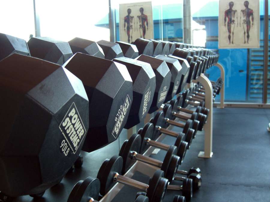 Long rack of hexagonal dumbbells in a gym