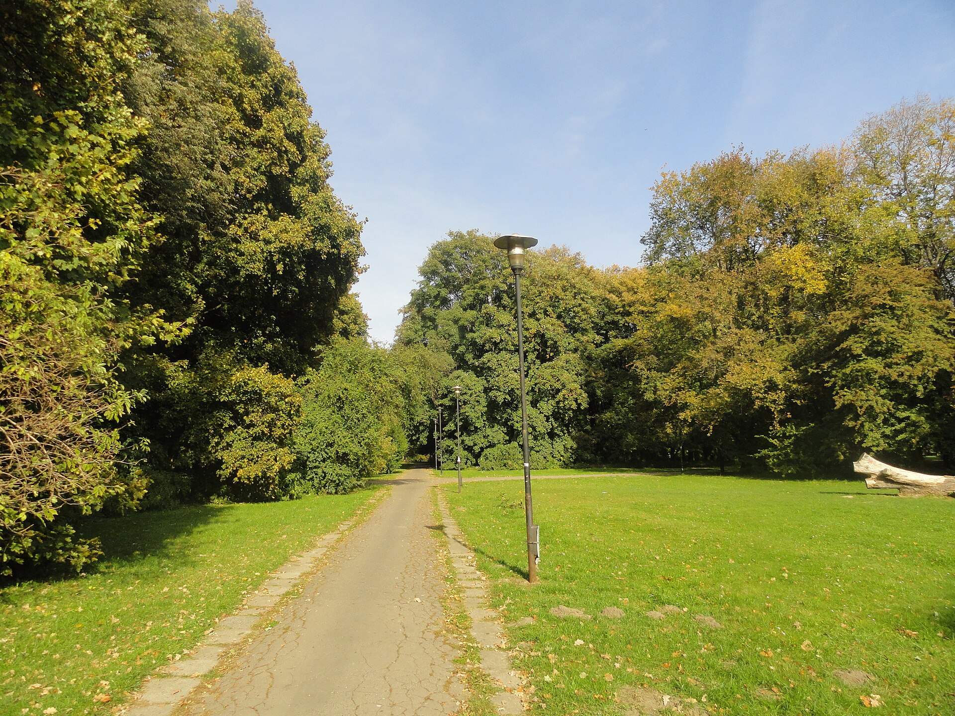 Lawns and trees in Pole Mokotowskie park, Warsaw