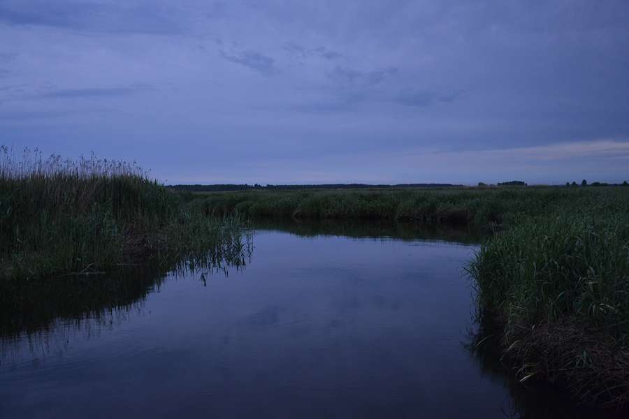 Evening over the Biebrza marshes