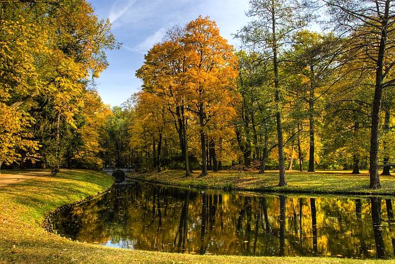 Lazienki Krolewskie park in Warsaw in autumn - gentle walking is the first exercise allowed after surgery