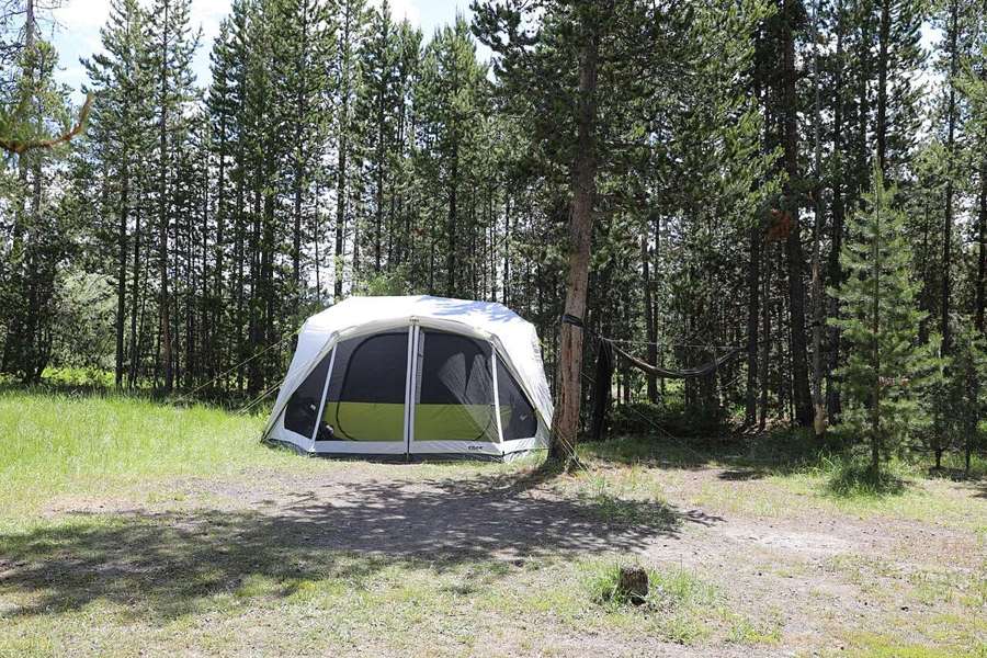 Tent and hammock in a campsite