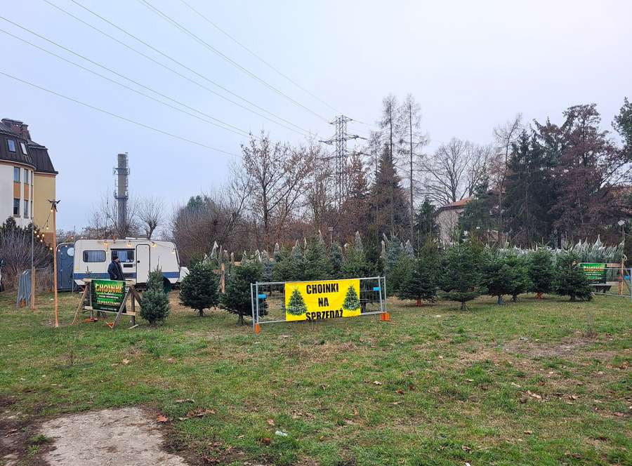 Cut Christmas trees for sale at a street lot on Srodziemnomorska Street in Warsaw in December 2025, with a yellow banner reading Choinki na sprzedaz