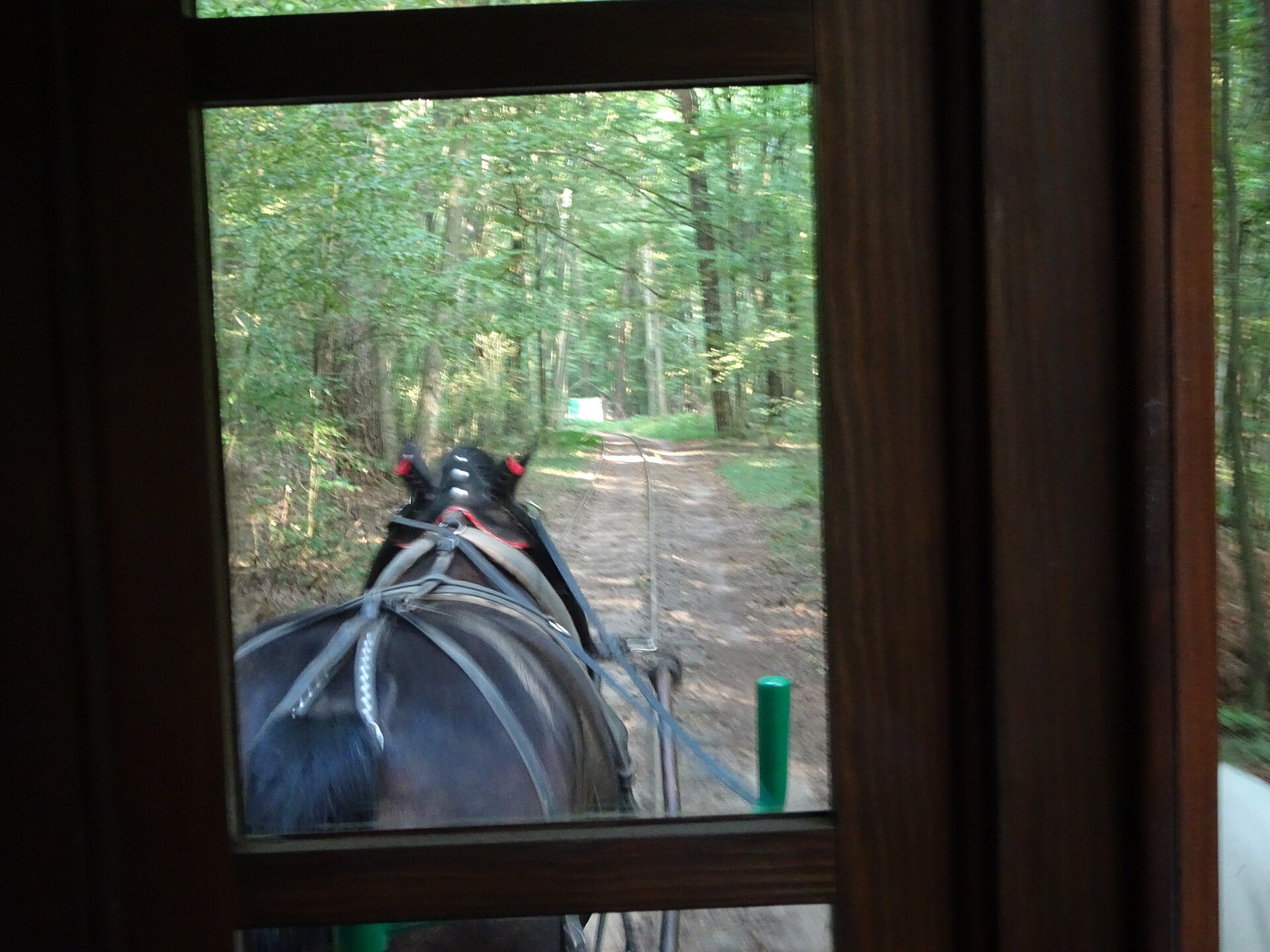 The horse-drawn tram running through the forest near Mrozy