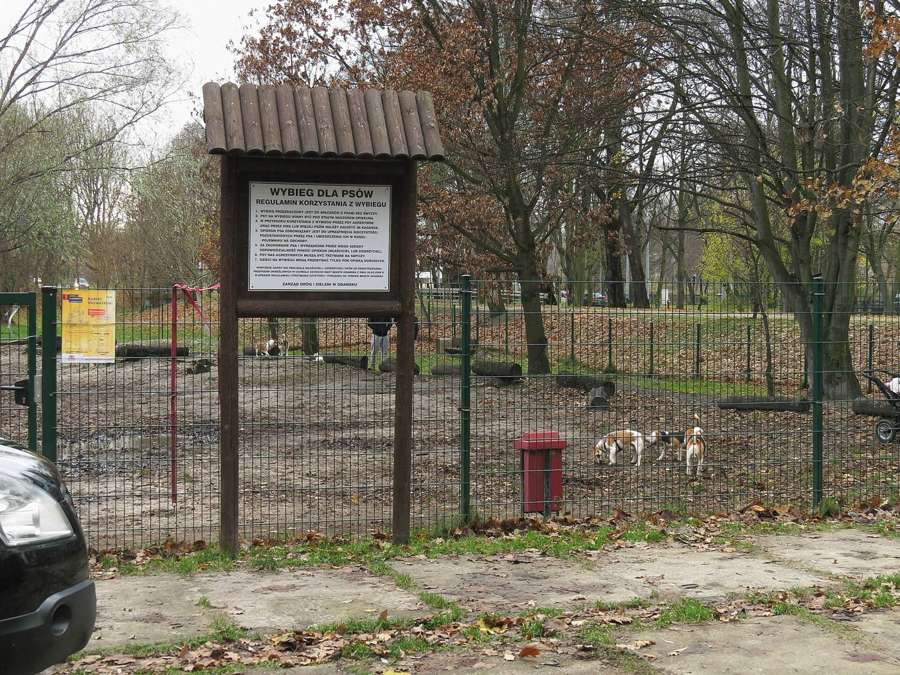 Dog park in Jelitkowo, Gdańsk