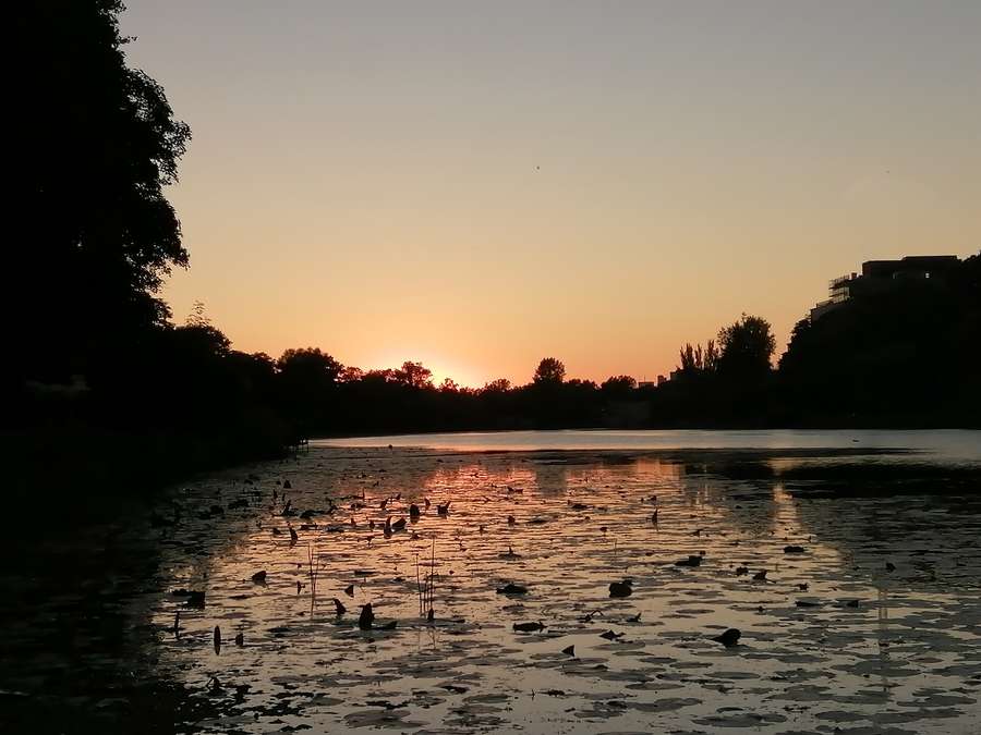 Sunset over a lake in Skaryszewski Park, Warsaw