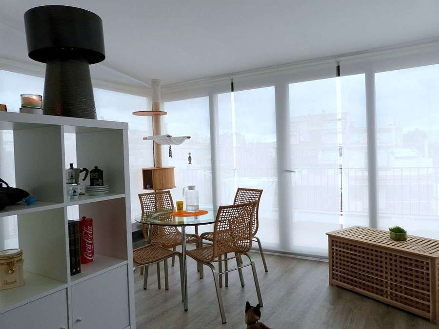A living room with houseplants