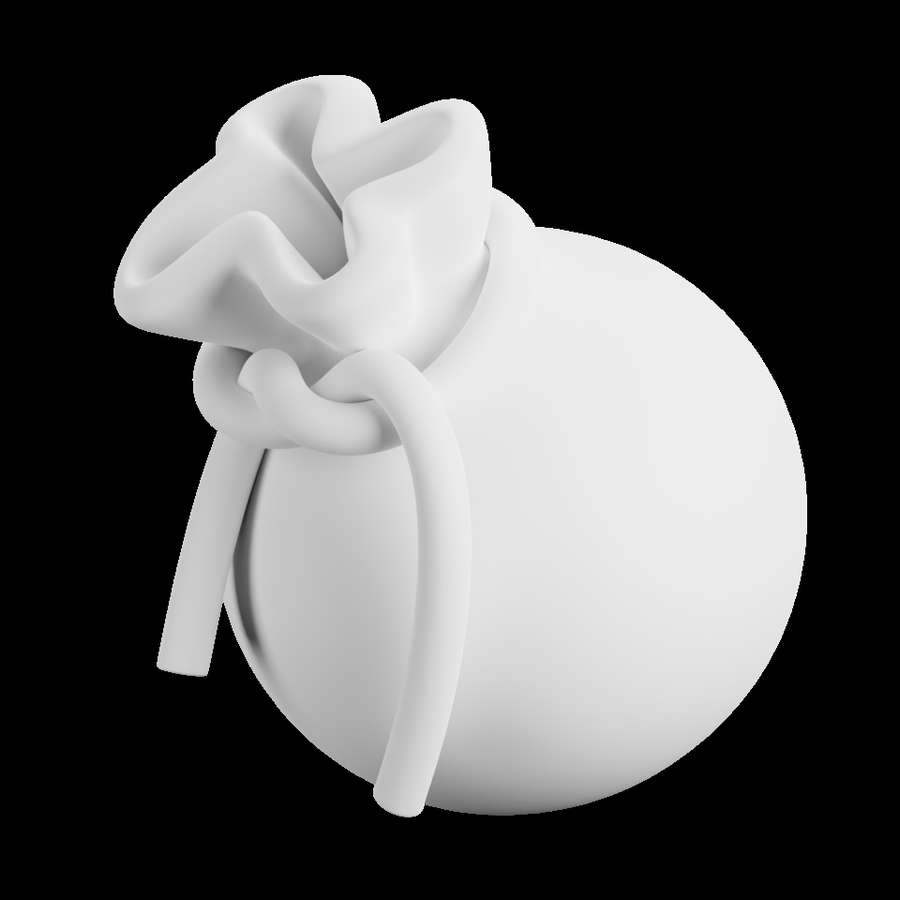 A money bag symbolizing a family gift or inheritance