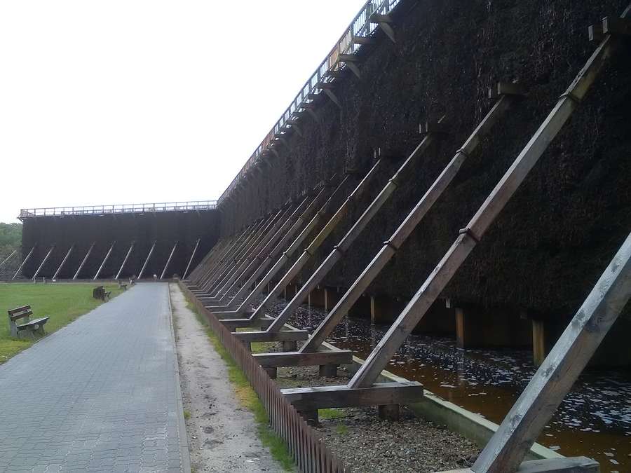 The blackthorn wall of the Inowrocław graduation towers