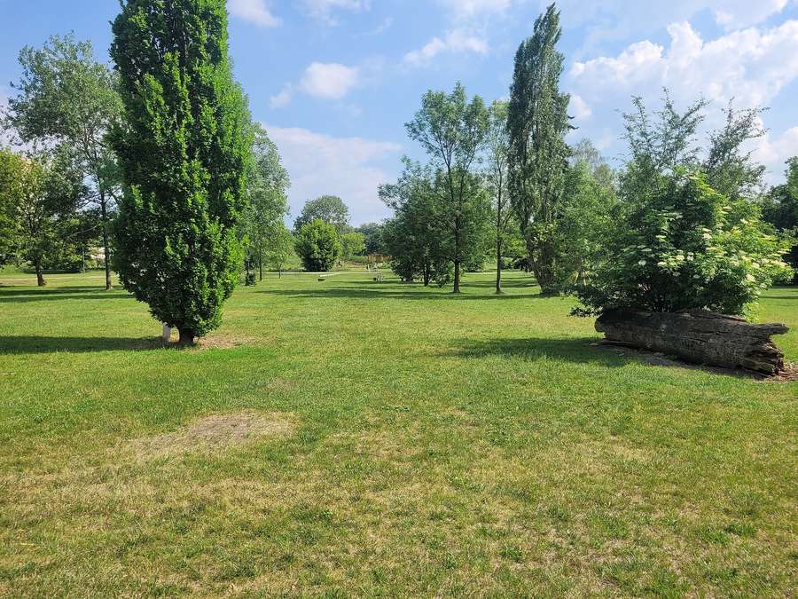 Pole Mokotowskie in Warsaw - the park that hosts one of the city's three free Saturday parkruns