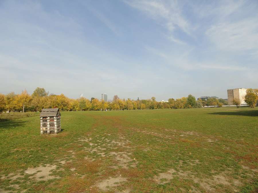 Pole Mokotowskie park in Warsaw in autumn, home of one of the city's free Saturday parkruns