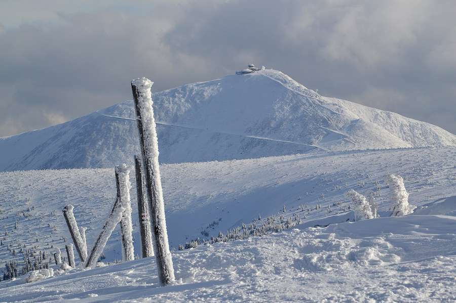 Śnieżka summit and rime-covered border posts in winter