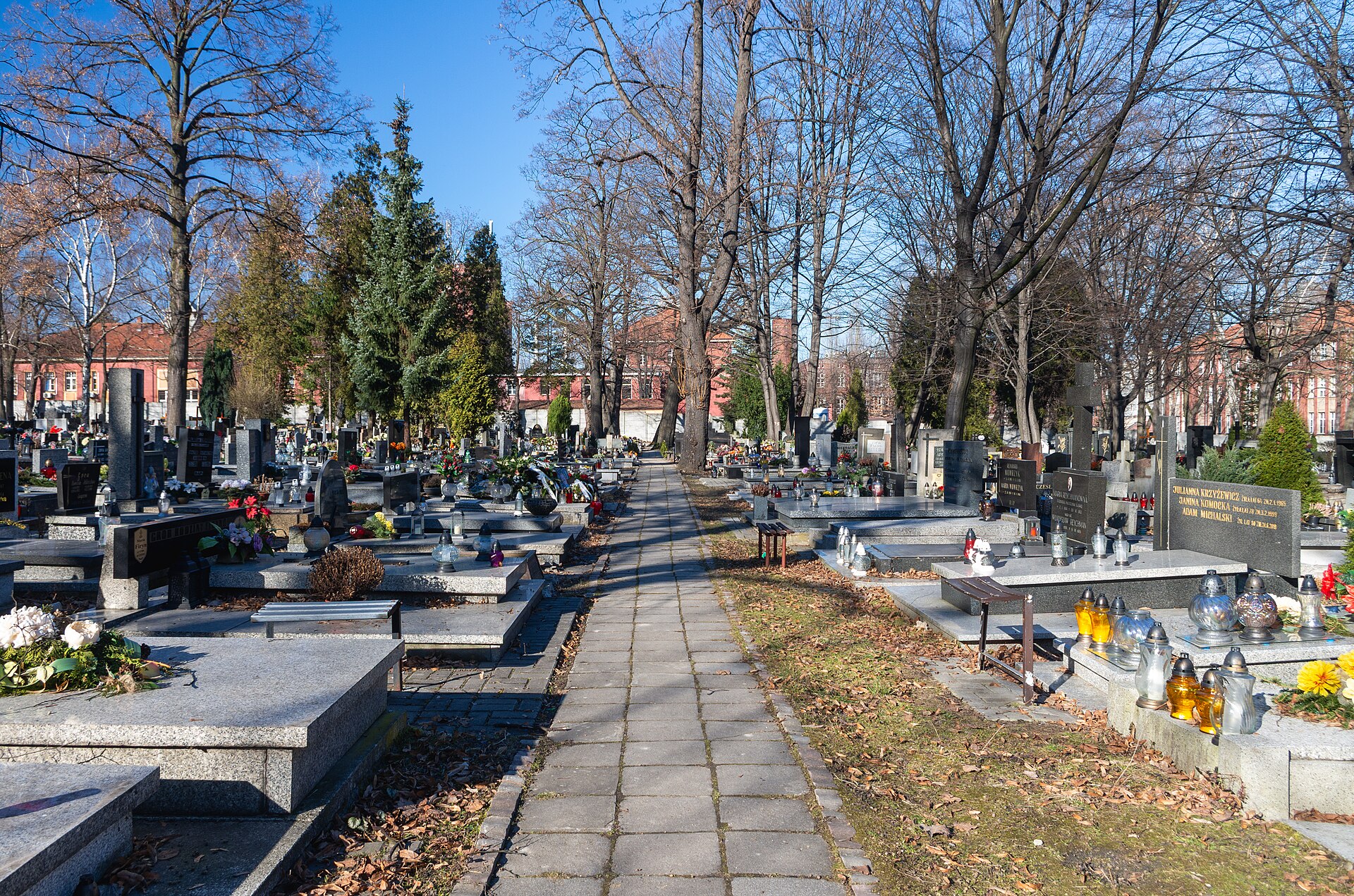 Graves with znicz lanterns along an avenue at the Katowice communal cemetery on Francuska street, 2021
