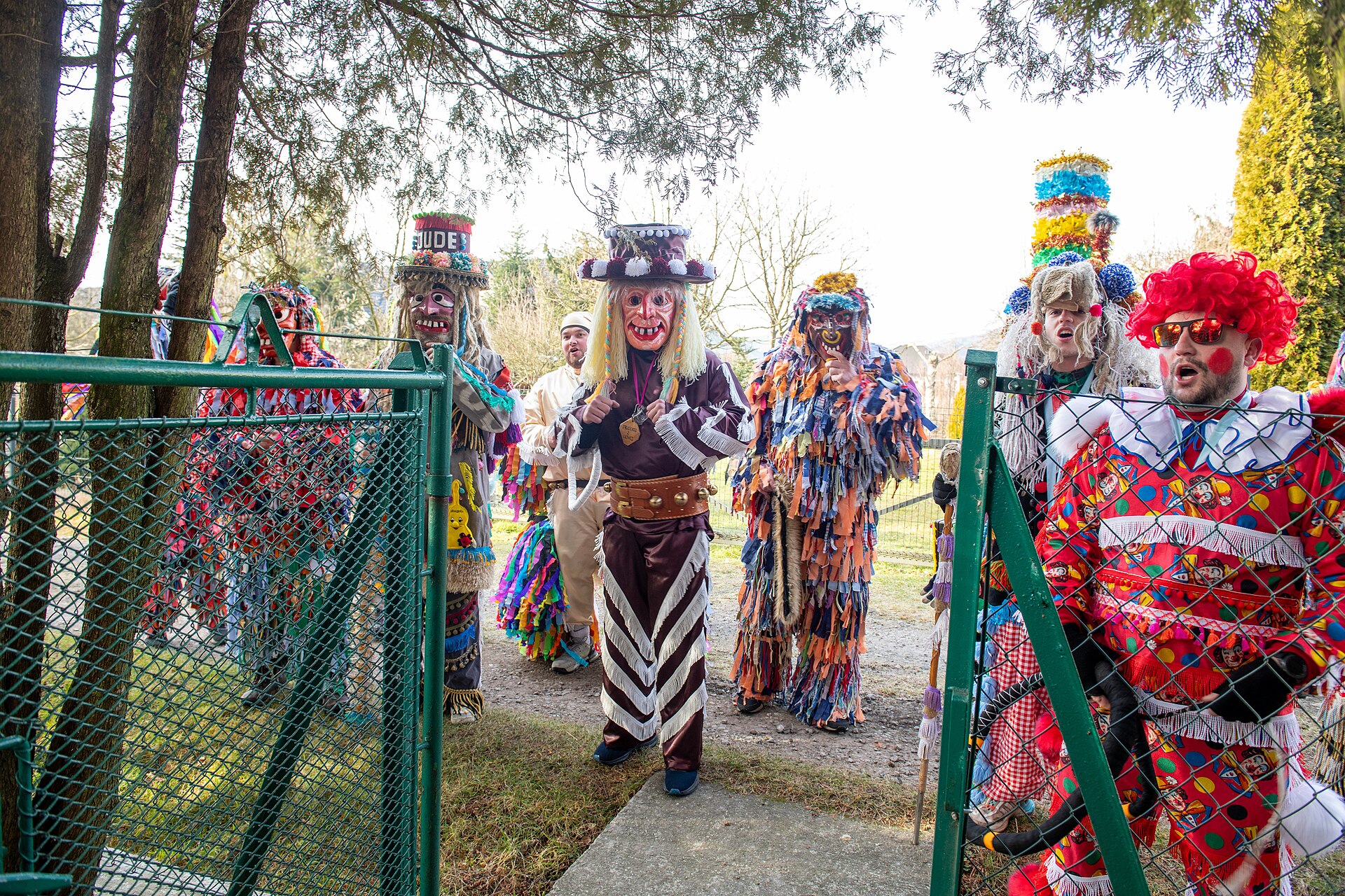Costumed kolędnicy with accordion visiting homes in Leśna, Lower Silesia