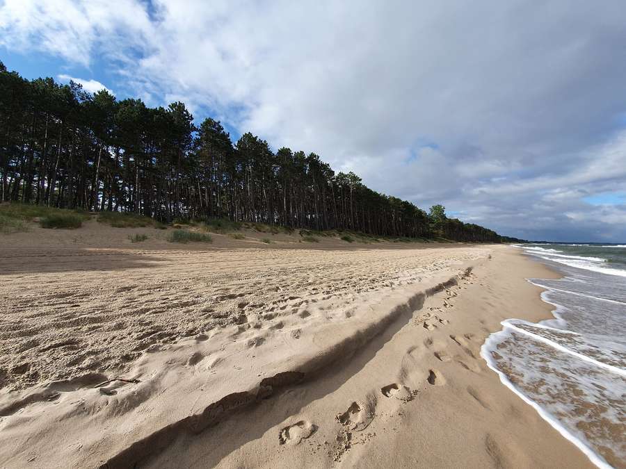 An empty pine-backed beach at Uniescie on the Baltic coast