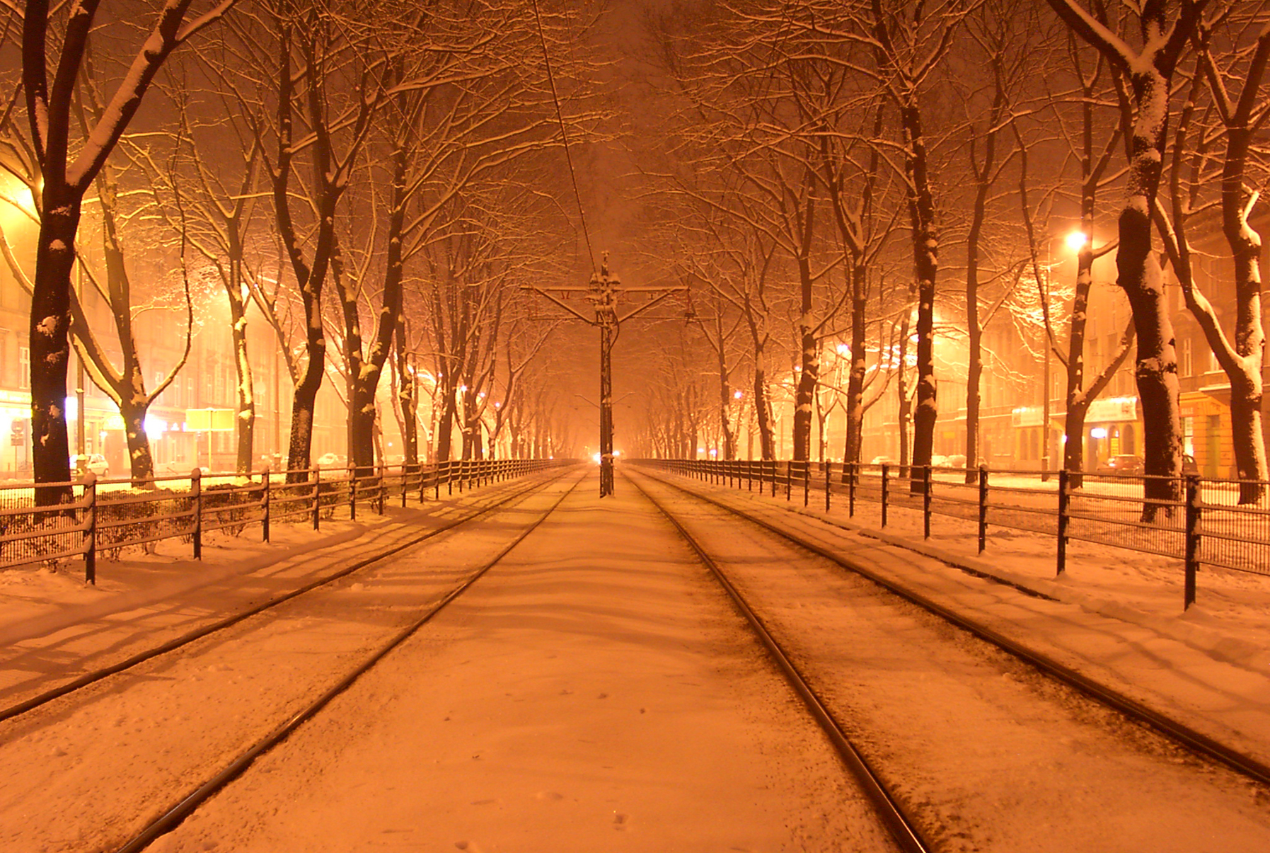 A snowy winter avenue in Kraków's Planty at night, with tram tracks running between snow-covered trees