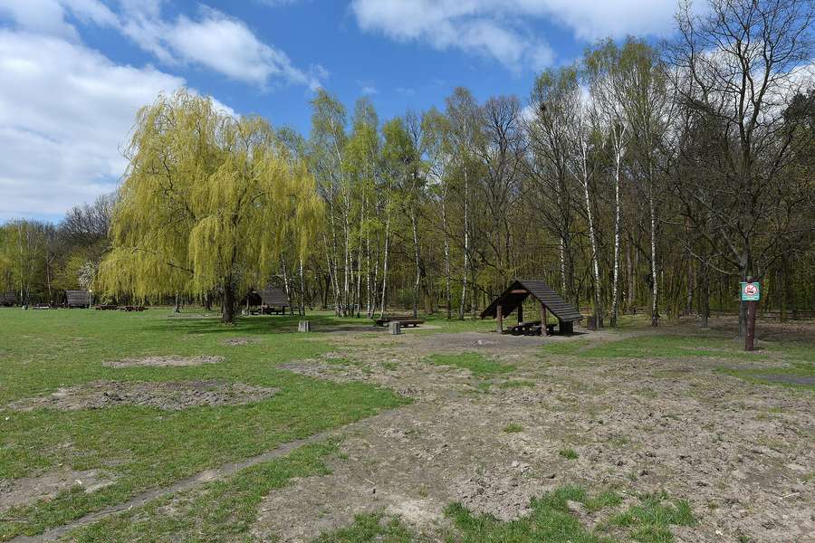 A rest clearing at the edge of the Kabaty forest reserve, with benches and wooden shelters