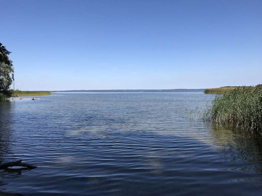 Reeds and open water on Lake Sniardwy, Poland's largest lake