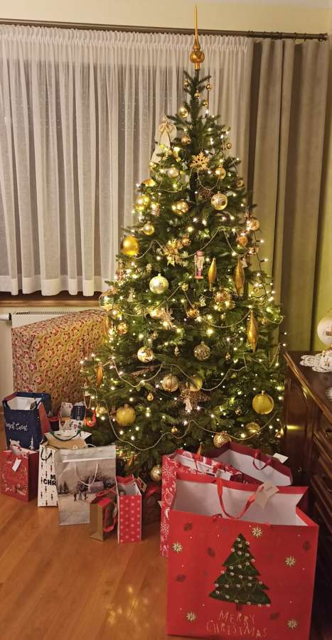 Festive gifts gathered under a decorated Christmas tree
