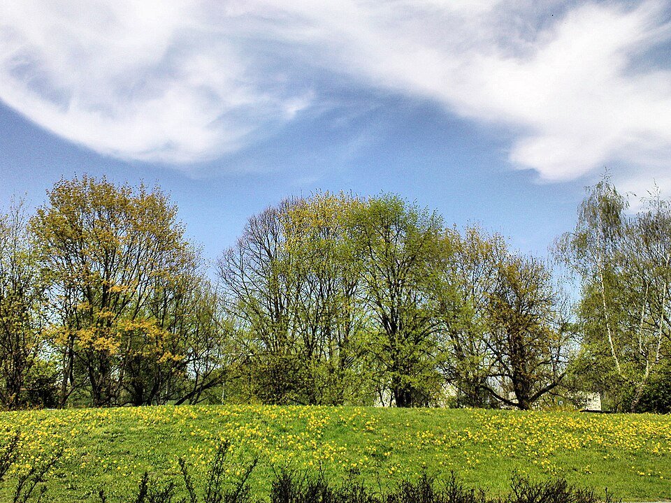 Pole Mokotowskie, the large park on the Mokotów-Ochota border in Warsaw