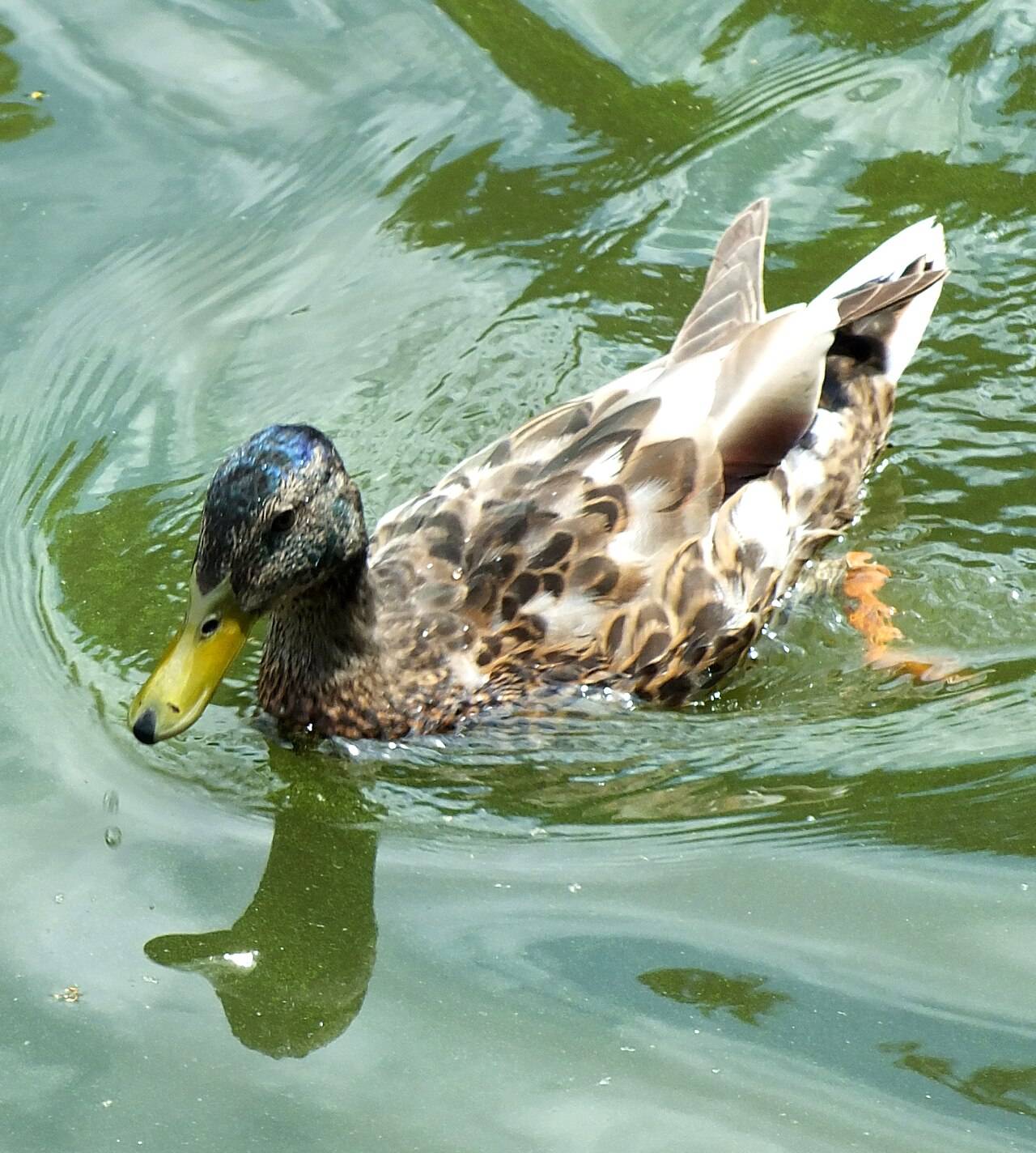 A park in Wrocław, Poland