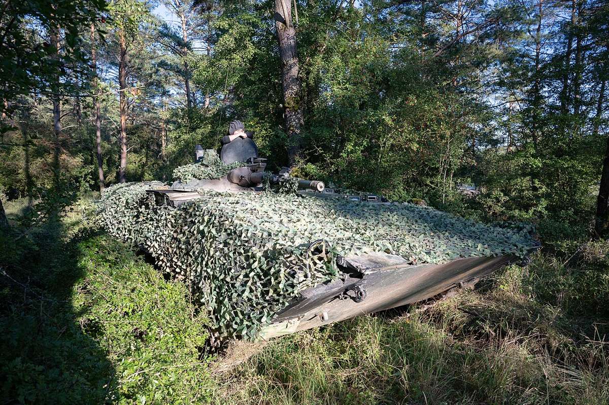 Polish Army soldier keeping watch, illustrative