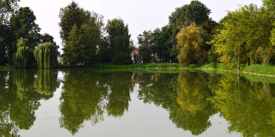 Trees reflected in the lake in the palace park at Nieborów