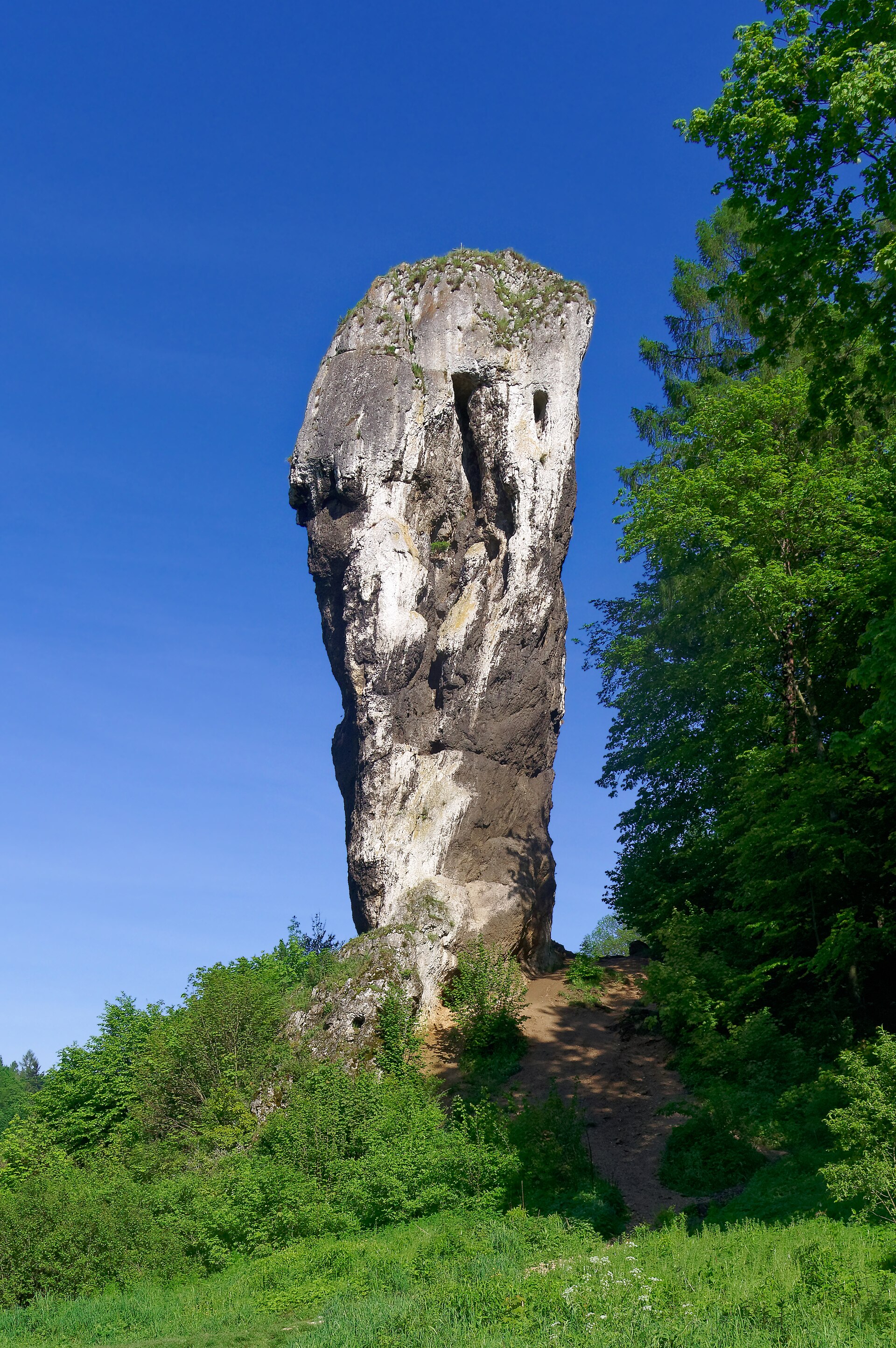 The Maczuga Herkulesa limestone monolith below Pieskowa Skała castle