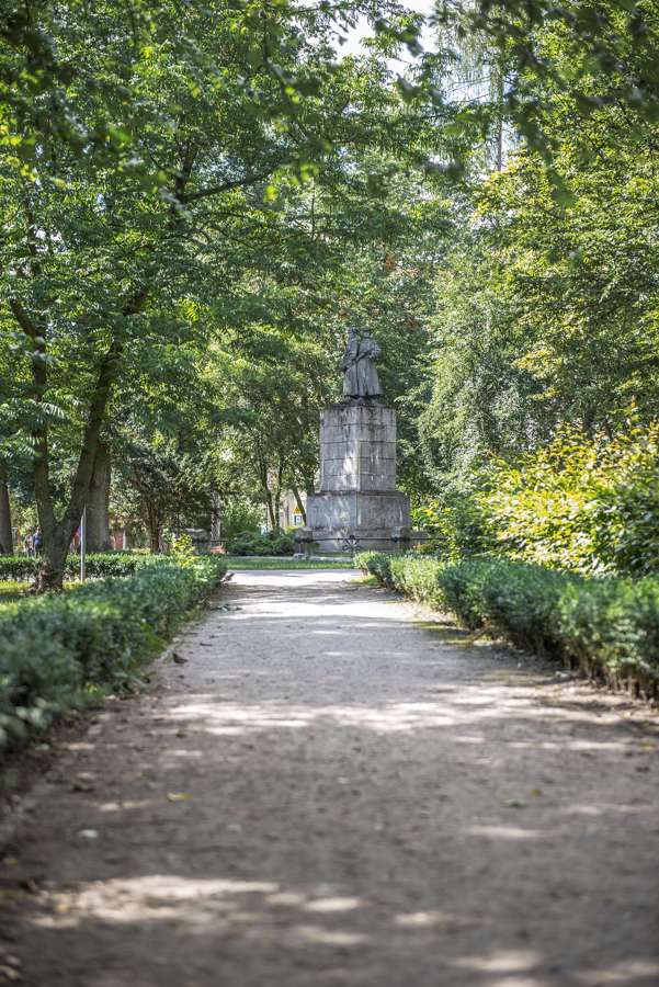 A shaded walking path in Park Sienkiewicza in Oleśnica