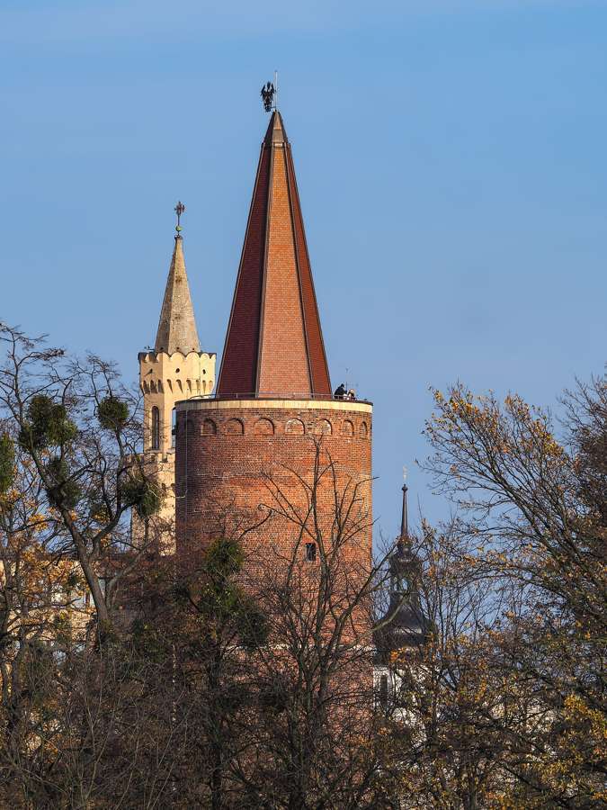 The medieval Piast Tower of Opole against a clear sky