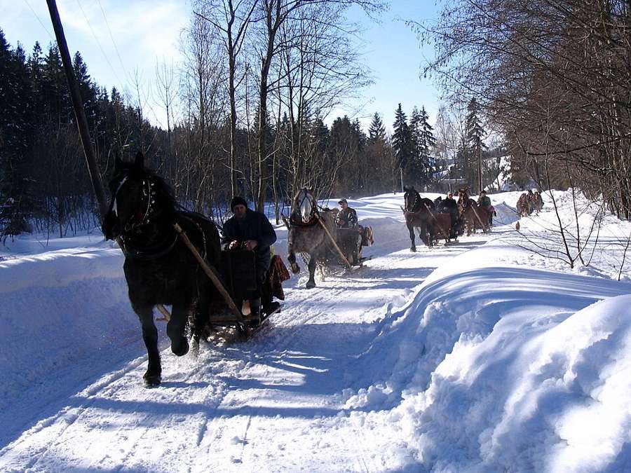 A kulig sleigh cavalcade on a snowy forest road near Nowy Targ