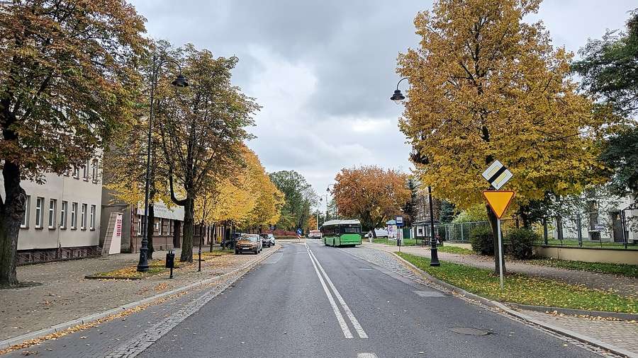 A wide street lined with autumn trees in Piotrków Trybunalski