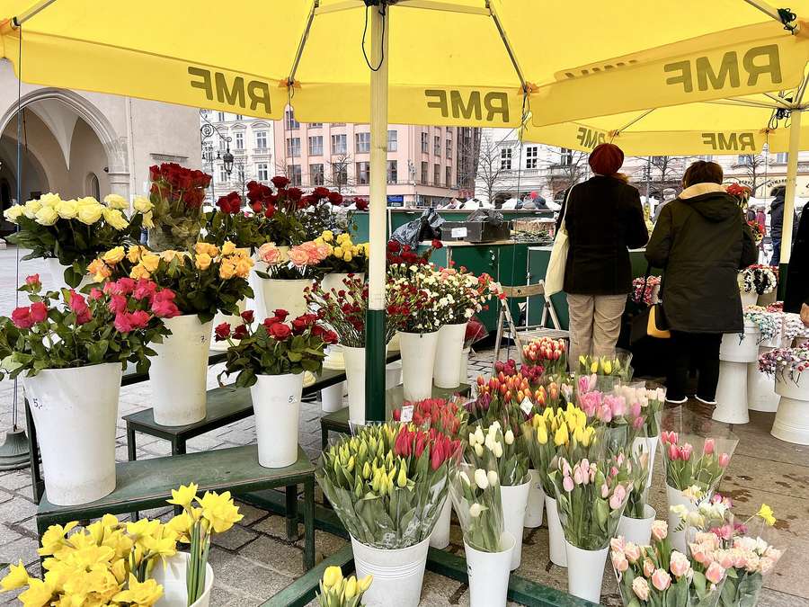 A flower stall on Kraków's Main Square