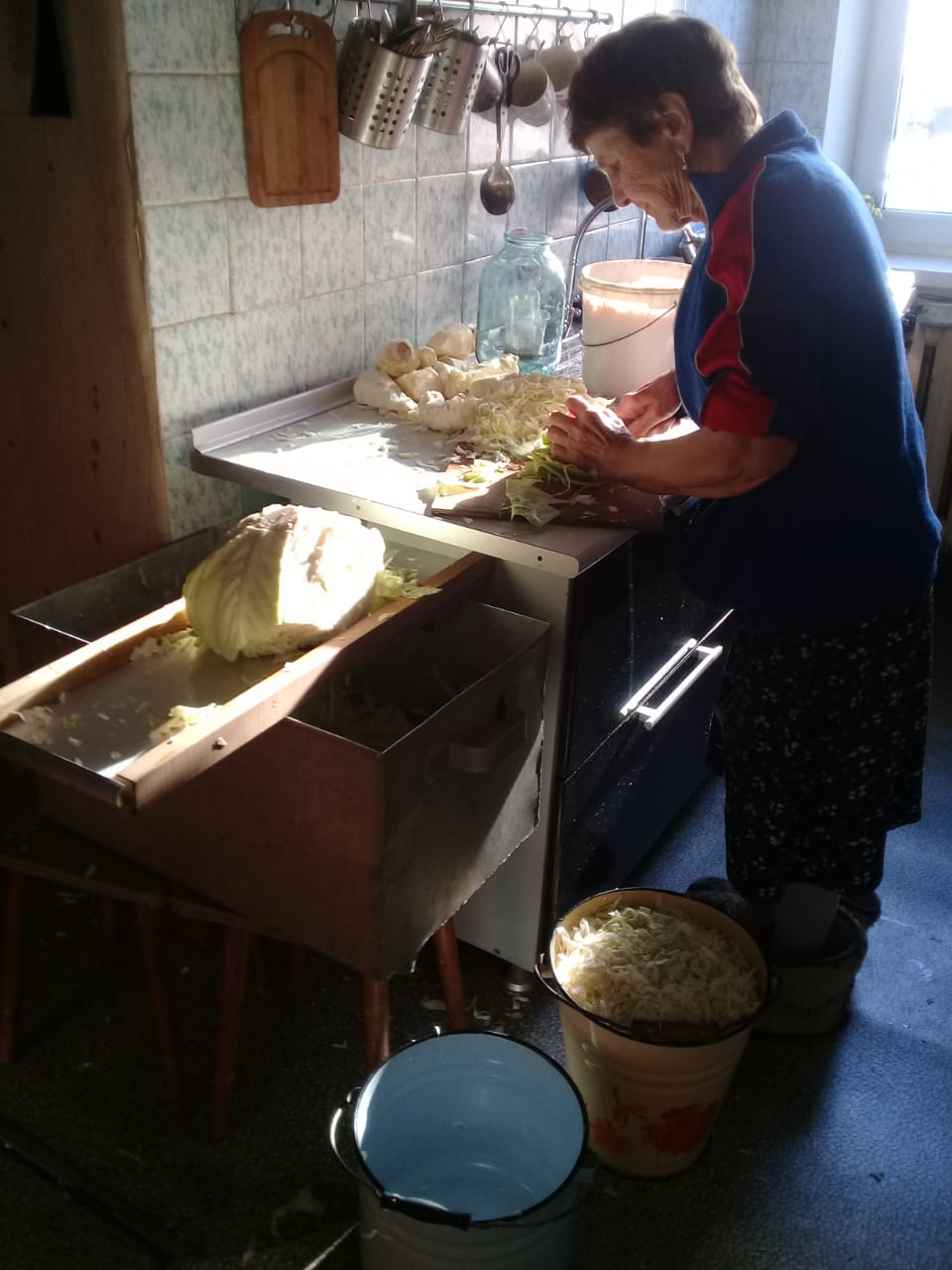 Shredding cabbage by hand for homemade sauerkraut
