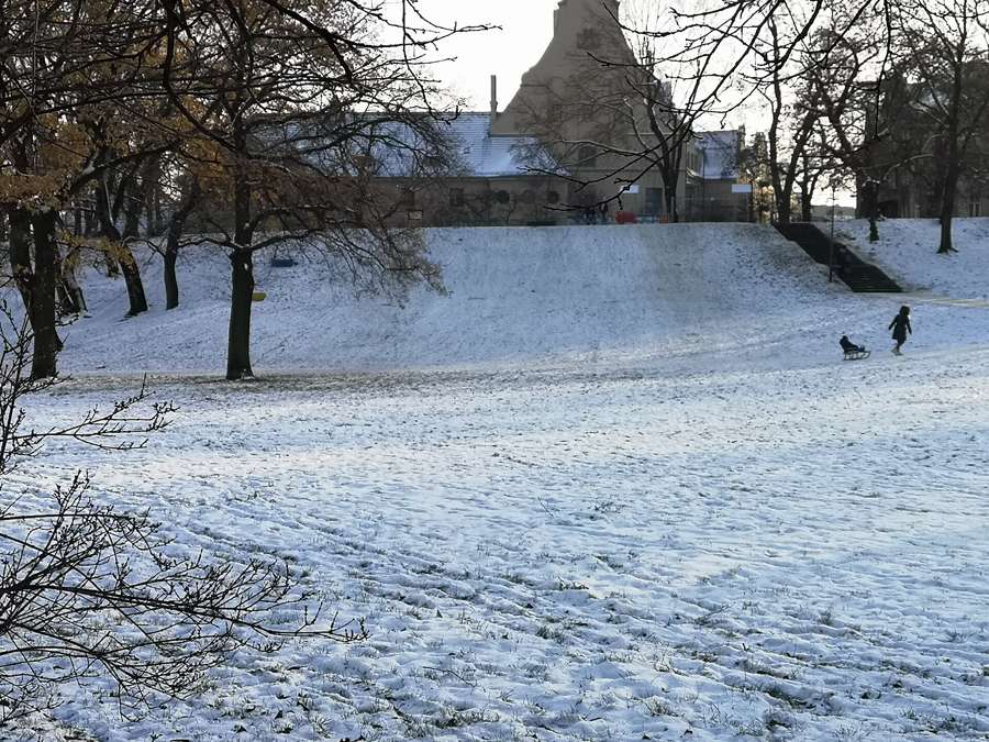 A snowy sledding hill in a Poznań park in early December