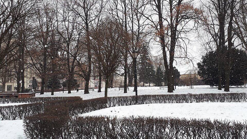 A snow-covered park in Warsaw in January