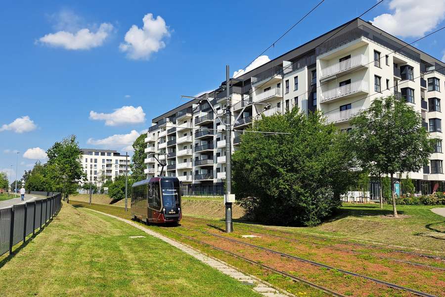A Moderus Gamma tram passing apartment blocks on a grassy track in Poznan