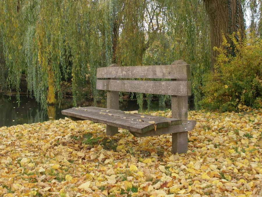 A Warsaw park bench in autumn - big-city parks are the most relaxed public spaces for couples
