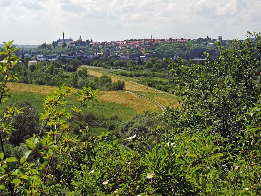 Panorama of the Sandomierz old town on its loess hill above the Vistula valley