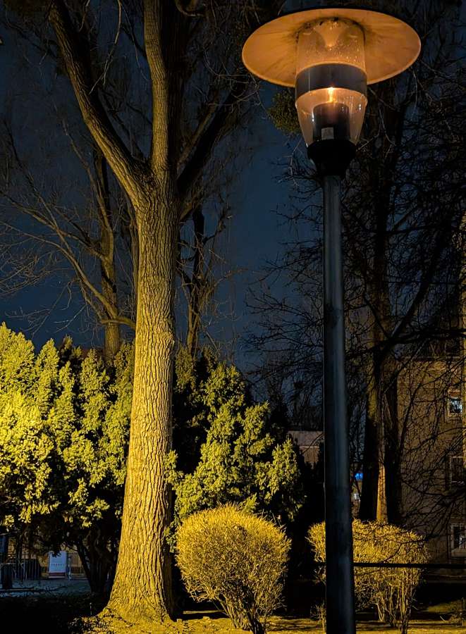 A park lamp glowing at night in a Warsaw neighborhood