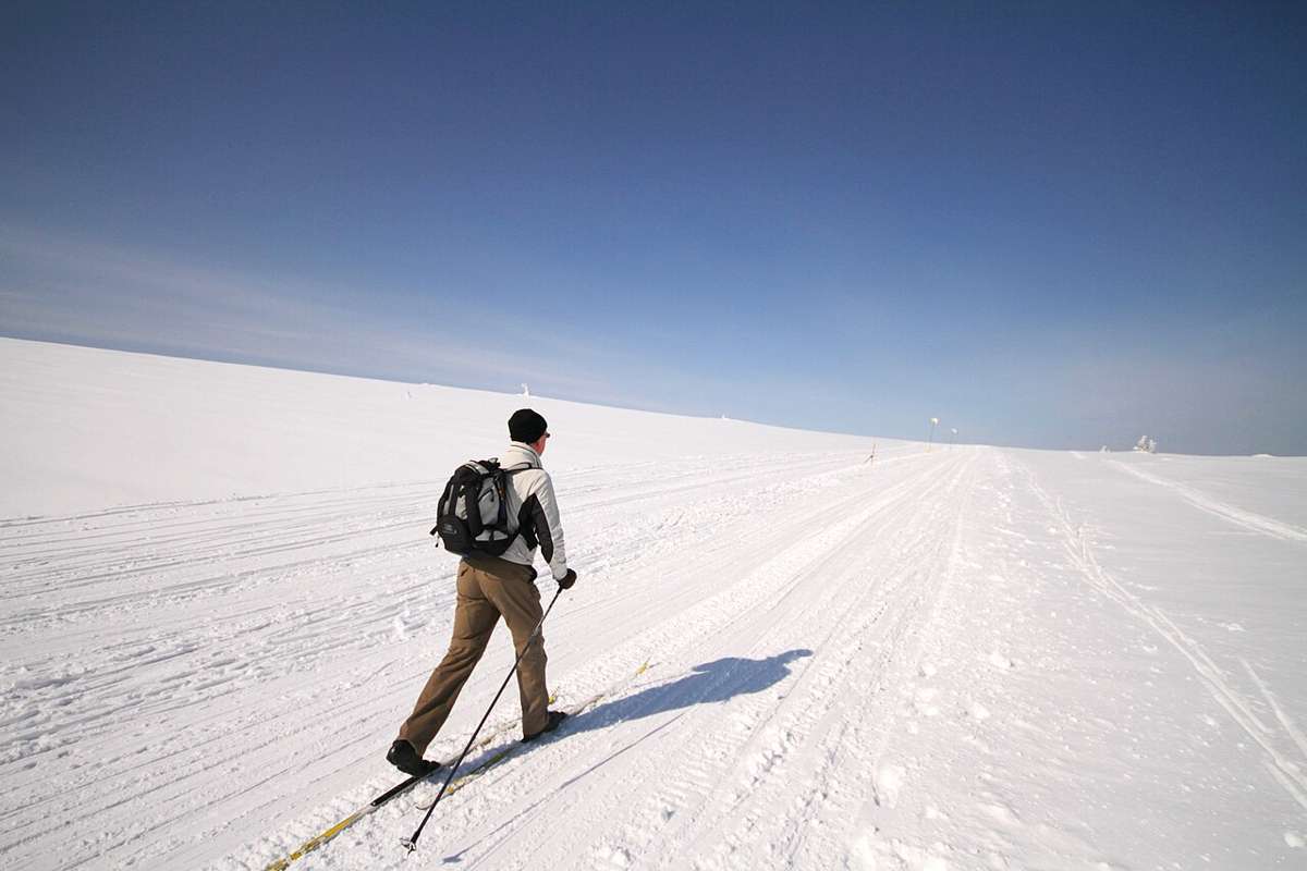 Cross-country skiing on a clear day