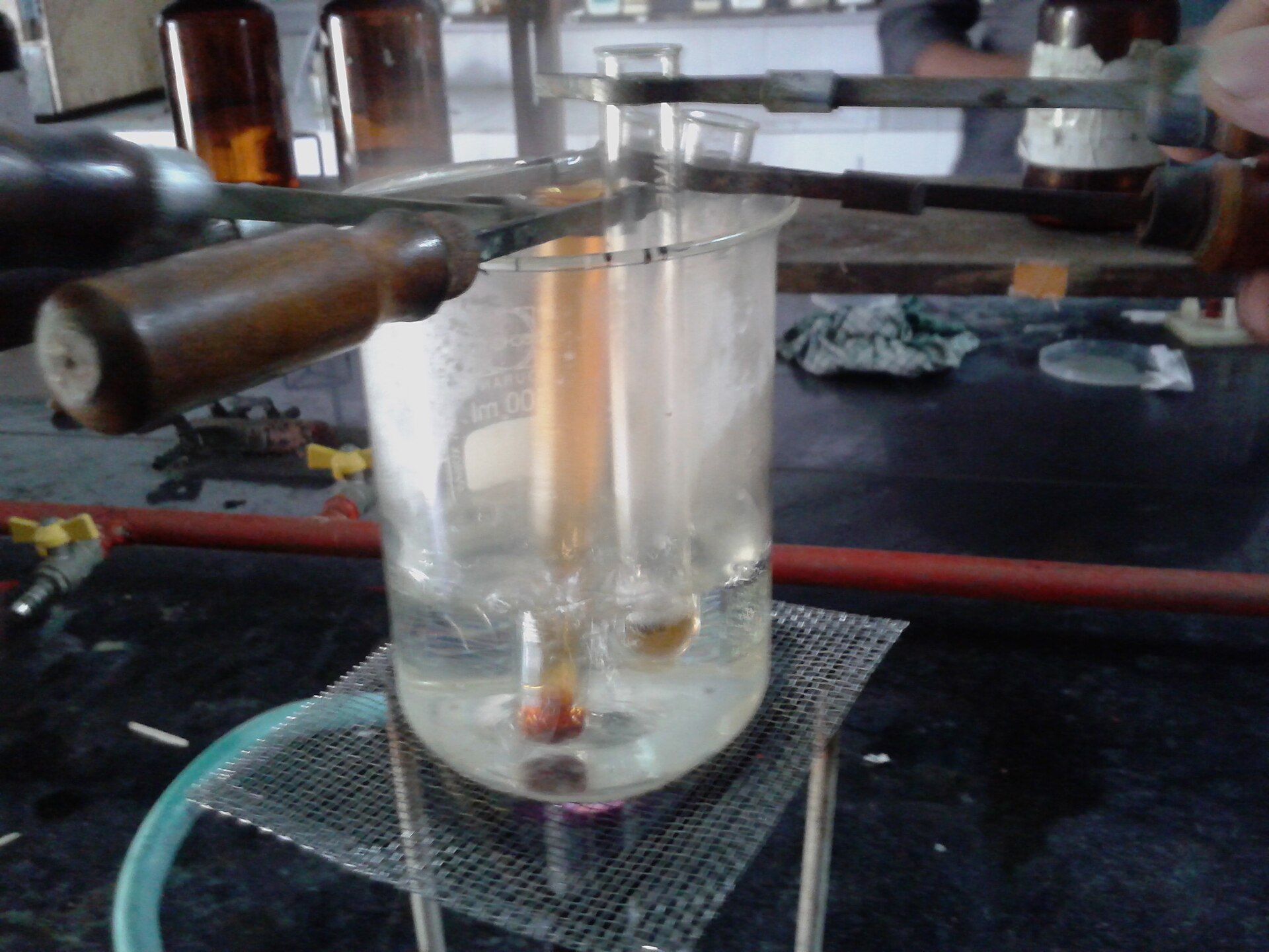 Test tubes in a laboratory rack