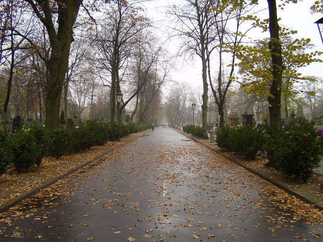 The main lane of Brodno Cemetery in Warsaw