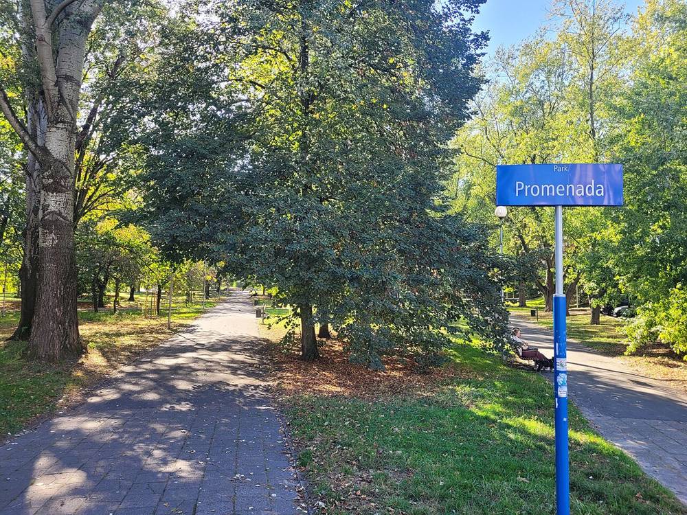 A tree-lined park path in Mokotów, Warsaw