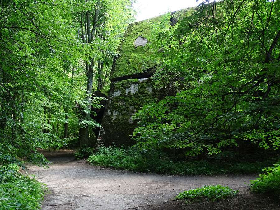 Moss-covered ruins of Goering's bunker at the Wolf's Lair, Gierłoż