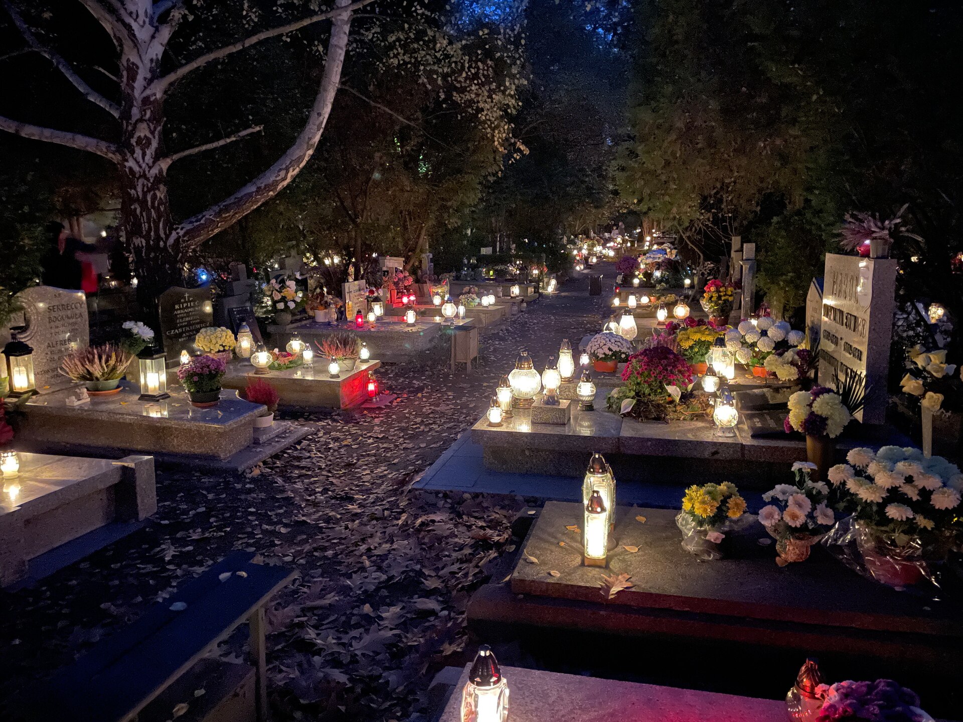 Graves with lit lanterns and autumn leaves at the Grabiszynski cemetery in Wroclaw at night, archive photo