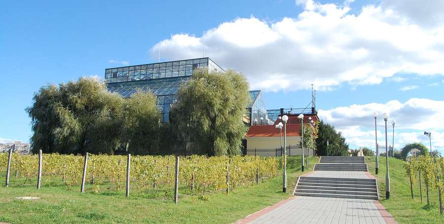 The Palmiarnia palm house and vineyard on Wine Hill in Zielona Góra